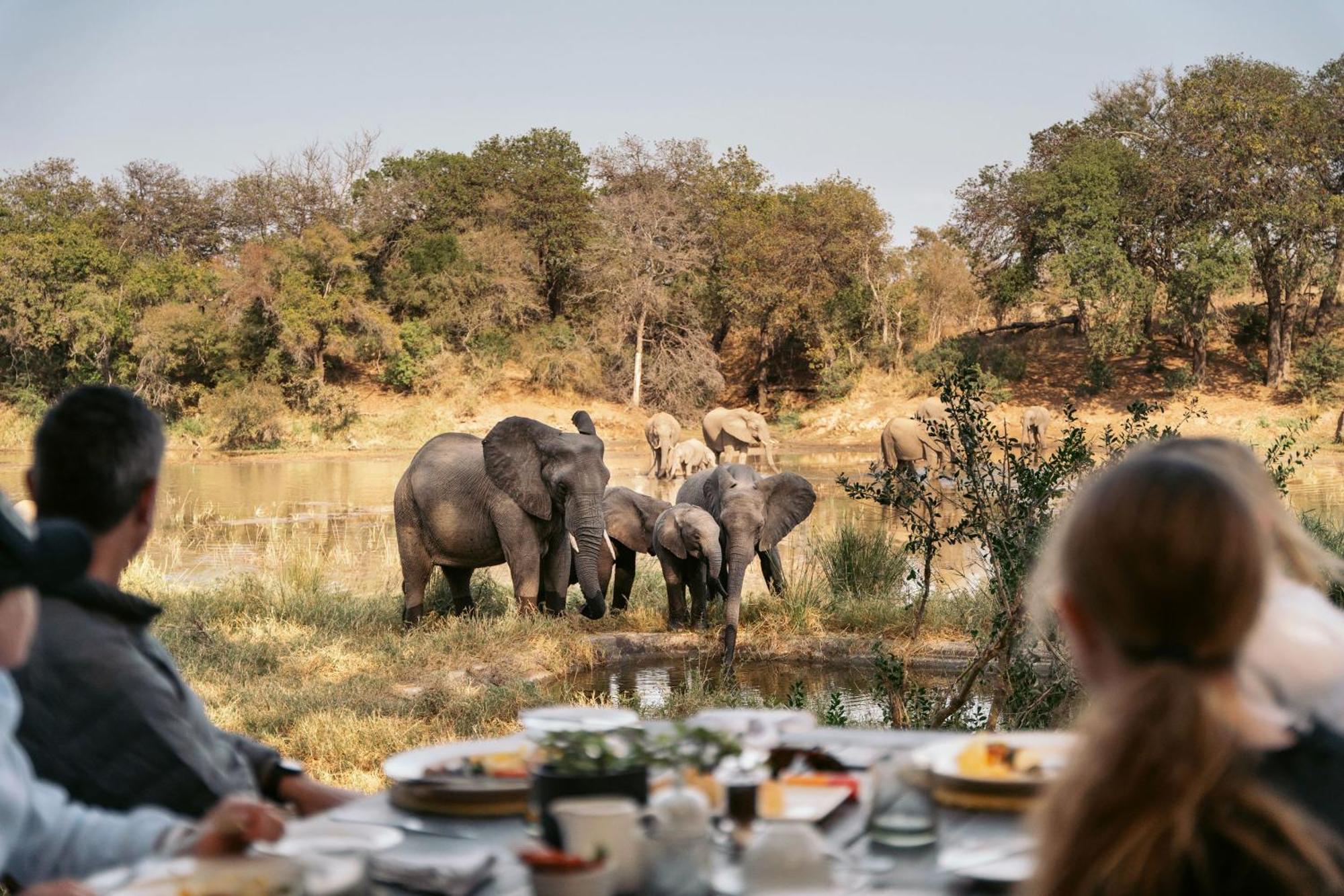 Simbavati River Lodge Rezervaţia naturală Timbavati Exterior foto
